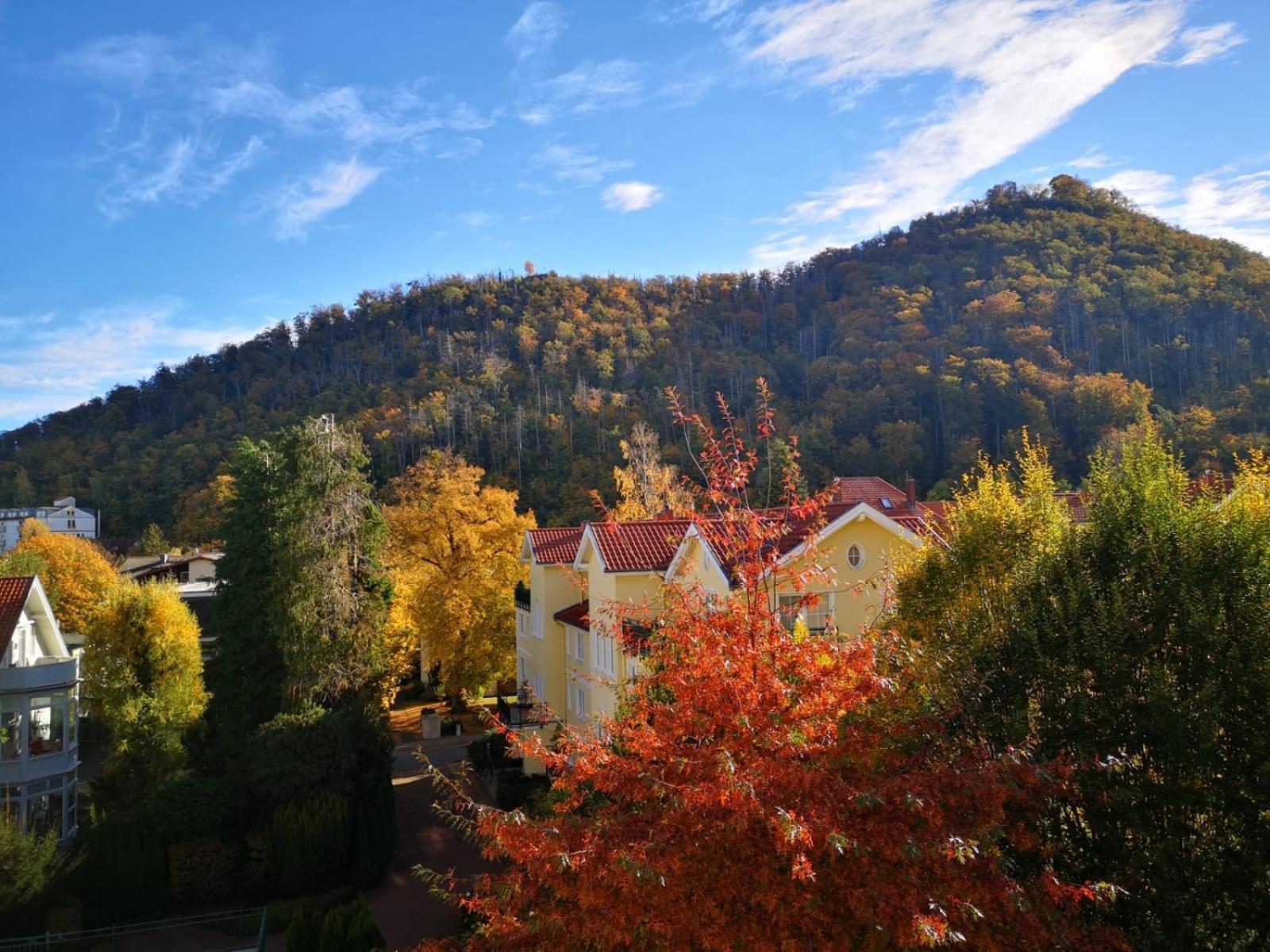 Appartement Bergliebe *